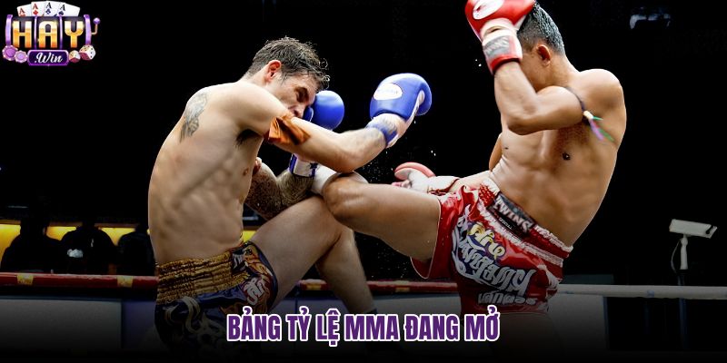 bang-ty-le-mma-dang-mo