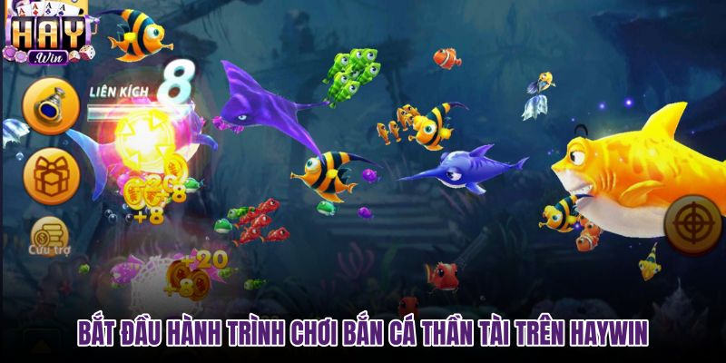 bat-dau-hanh-trinh-choi-ban-ca-than-tai-tren-haywin