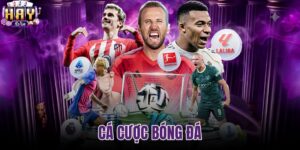 Cá cược bóng đá