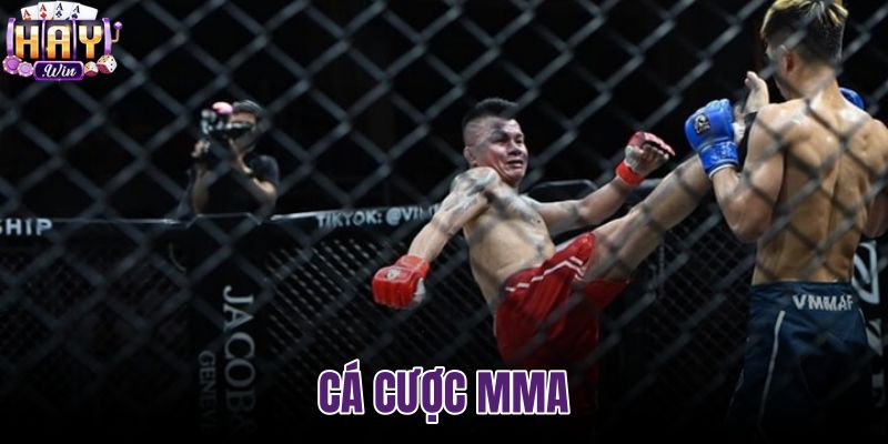 Cá cược MMA