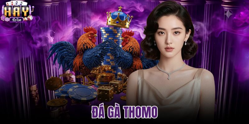 Đá gà thomo
