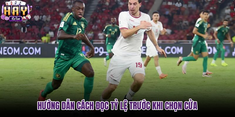 huong-dan-cach-doc-ty-le-truoc-khi-chon-cua