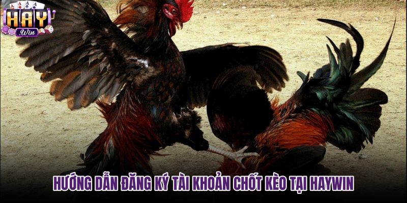 huong-dan-dang-ky-tai-khoan-chot-keo-tai-haywin