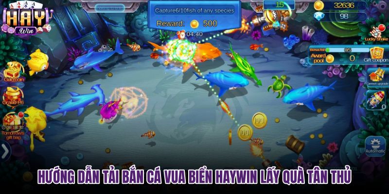huong-dan-tai-ban-ca-vua-bien-haywin-lay-qua-tan-thu