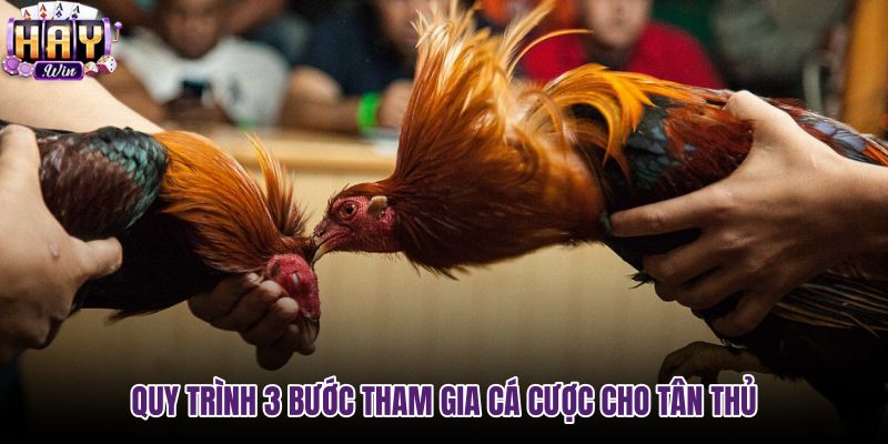 quy-trinh-3-buoc-tham-gia-ca-cuoc-cho-tan-thu