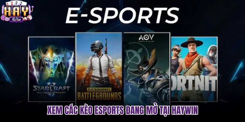 xem-cac-keo-esports-dang-mo-tai-haywin